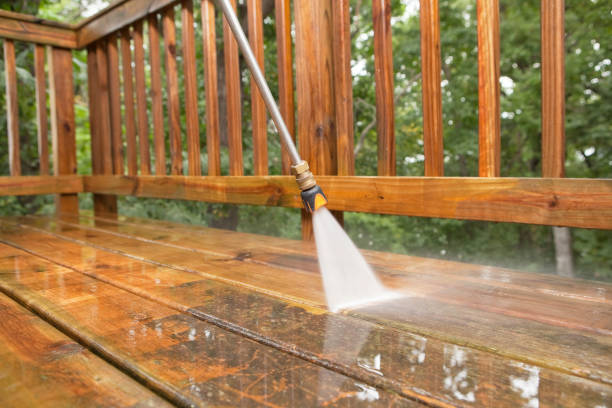 Professional Pressure Washing in Mount Zion, IL